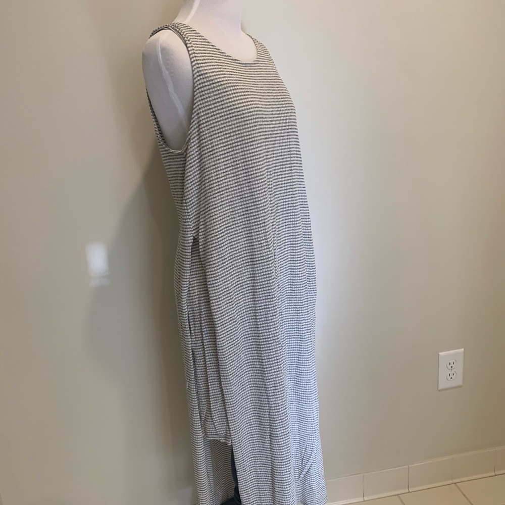 Lizard thicket stripe tank dress